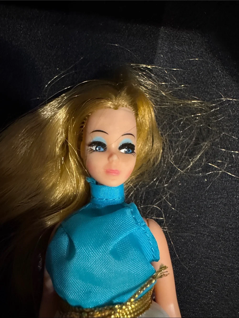 Dawn and Her Friends Doll Case w/Dawn & Gary - Picture 5 of 16